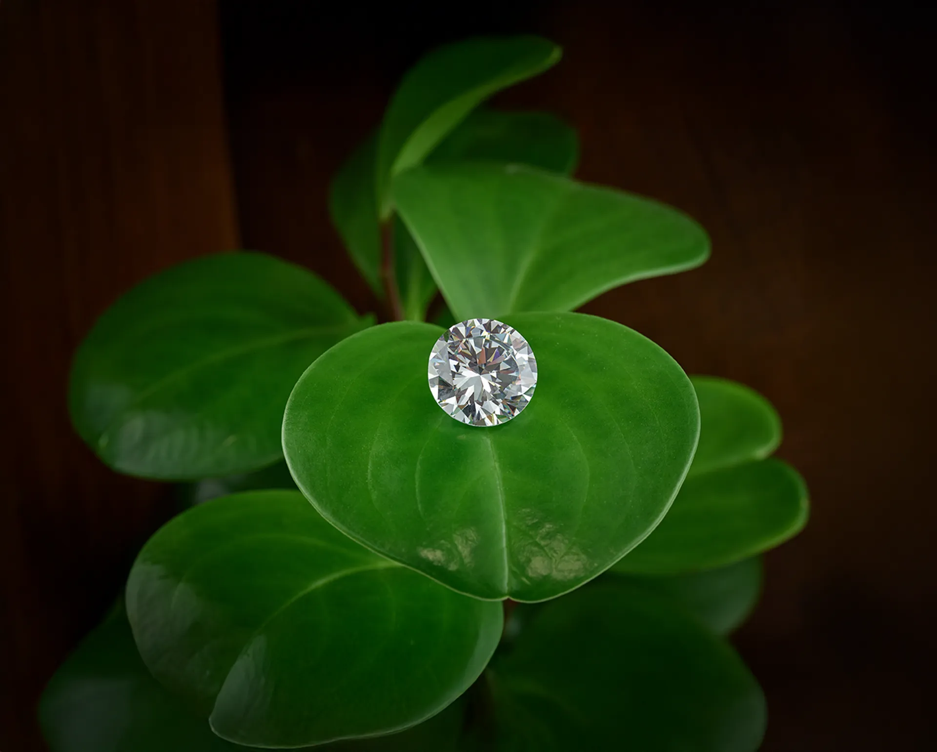 lab grown diamonds